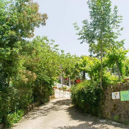 Benvenuti Nel Sud Sessa Cilento